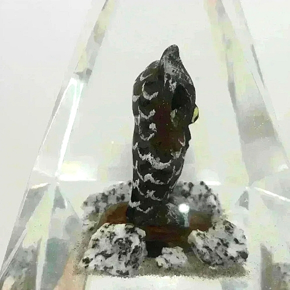 Vintage Hand Carved Owl encased in Pyramid Geometric Lucite. - Picture 2 of 5